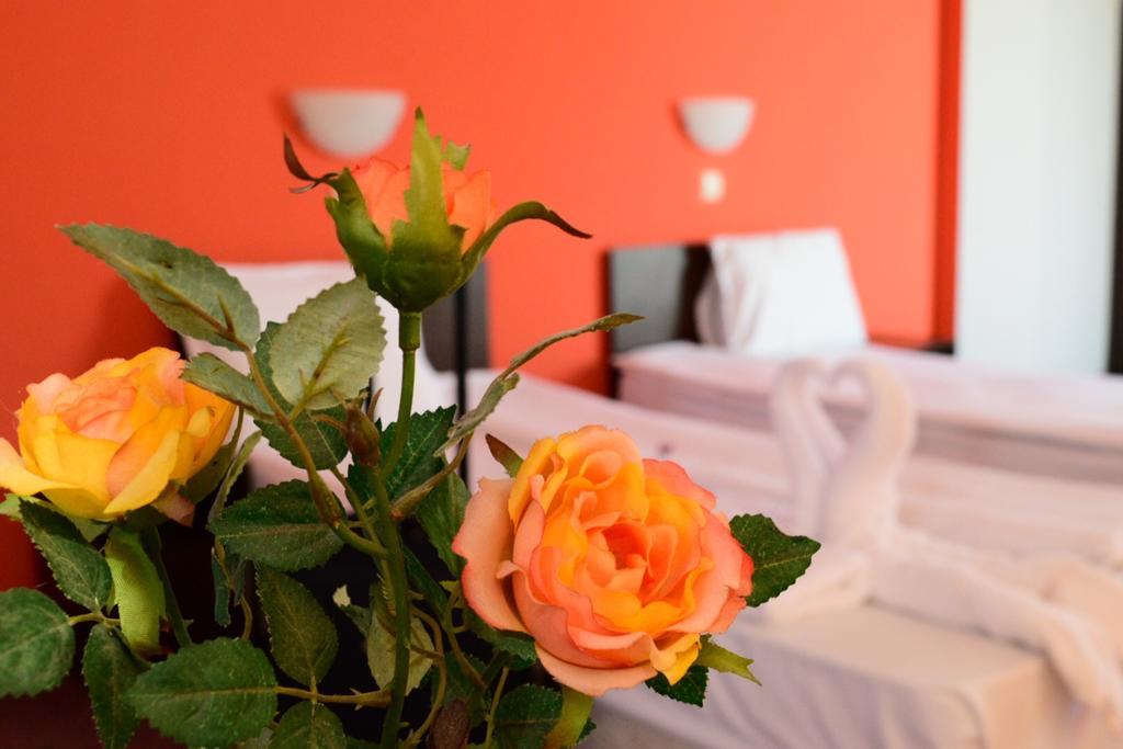 סופיה Hotel Alexander מראה חיצוני תמונה